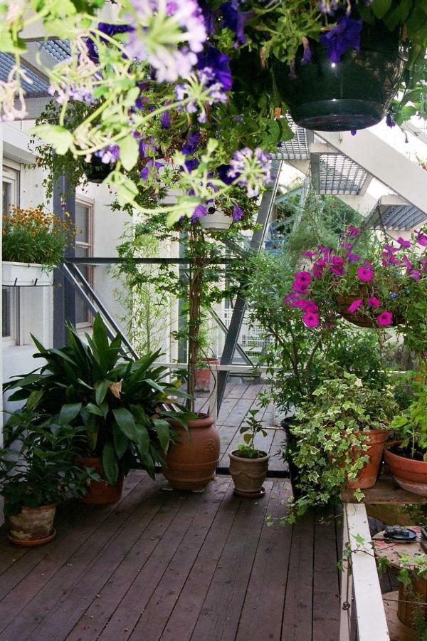 Loft De Cannes B&B Zewnętrze zdjęcie